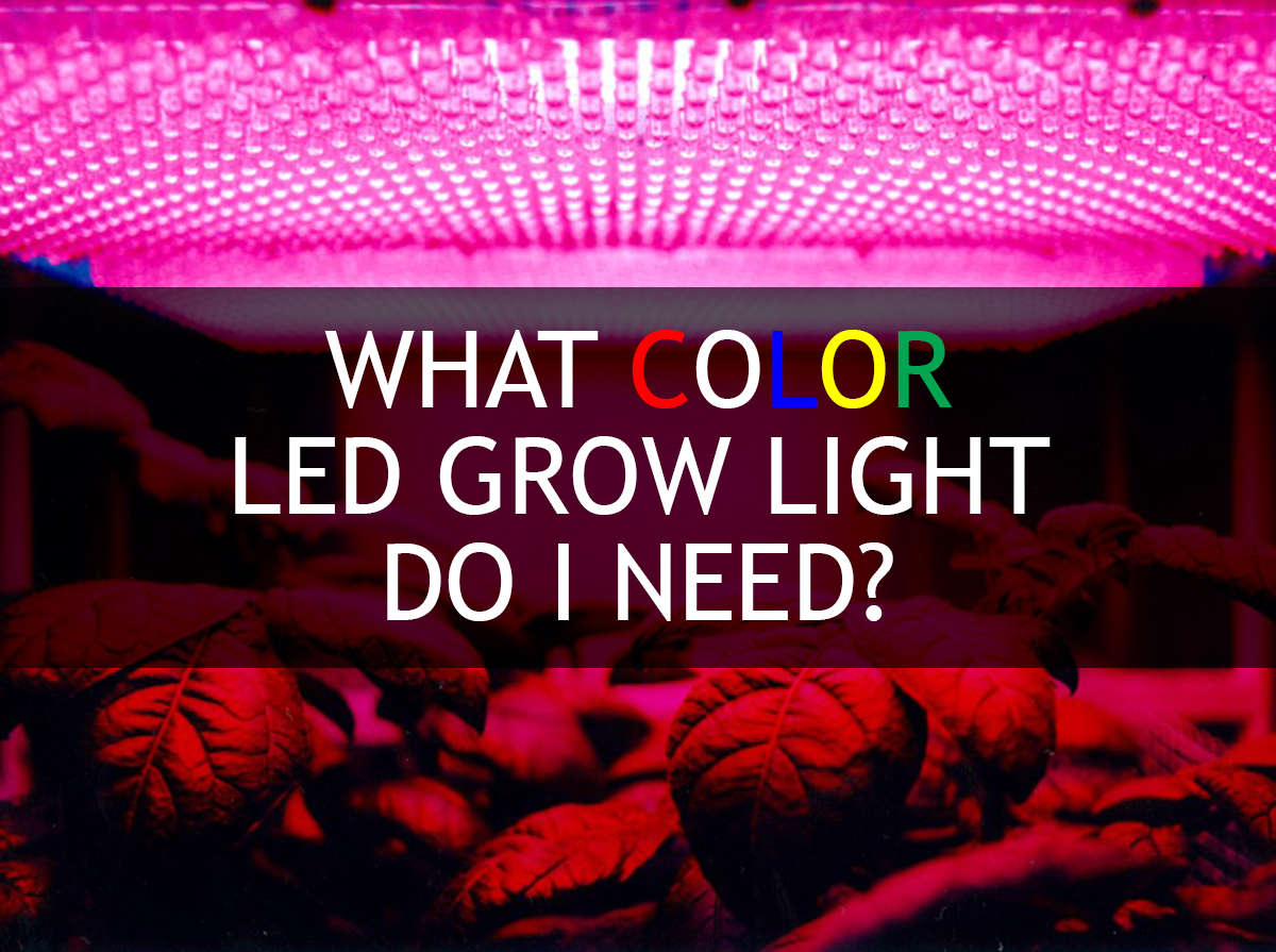 چراغ LED رشد گیاهان